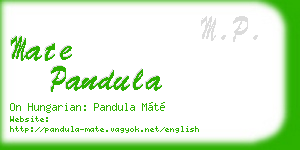 mate pandula business card