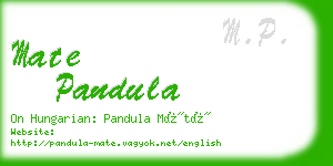 mate pandula business card